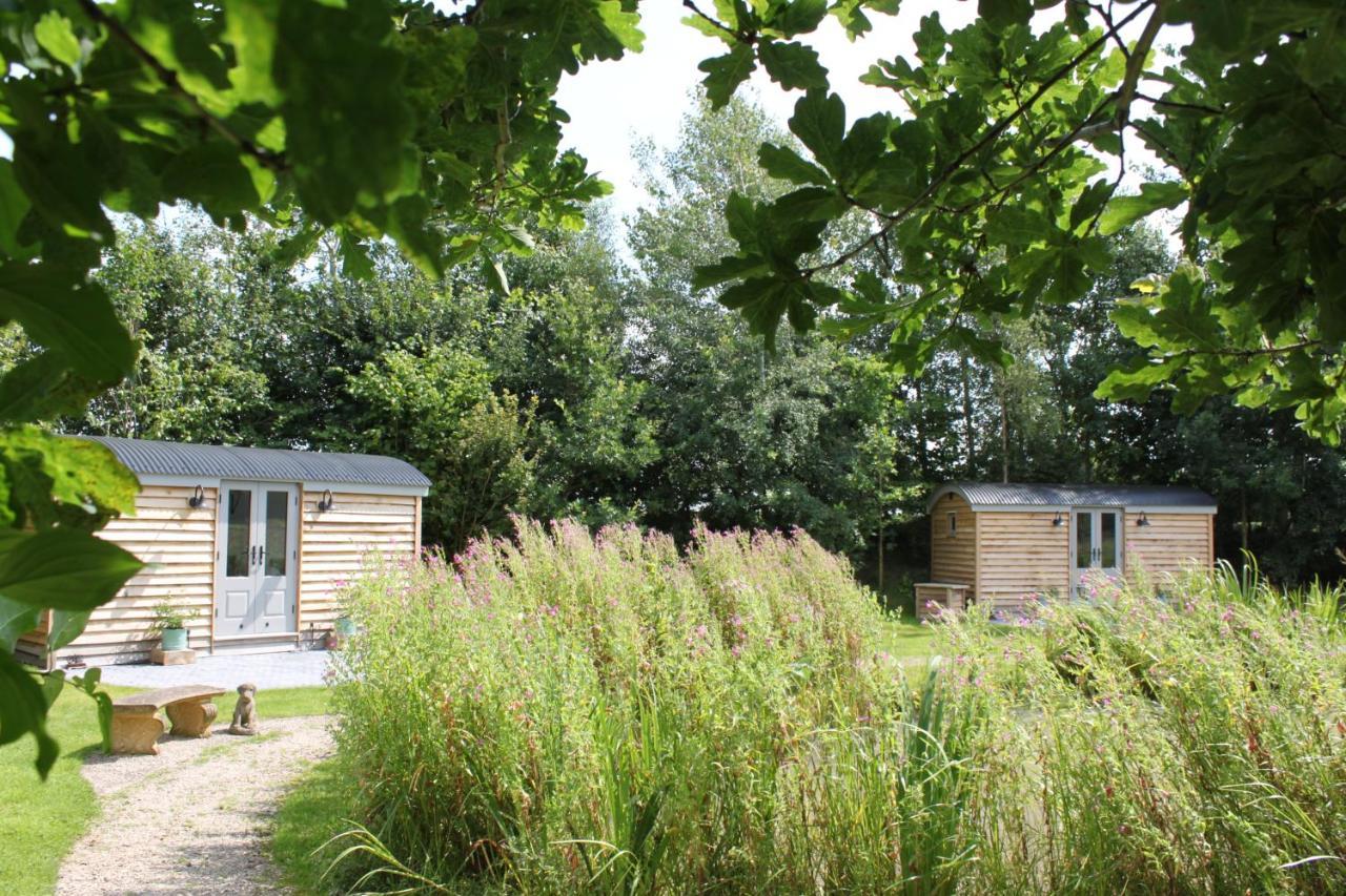 יורק Luxury Shepherds Hut - The Sweet Pea By The Lake מראה חיצוני תמונה