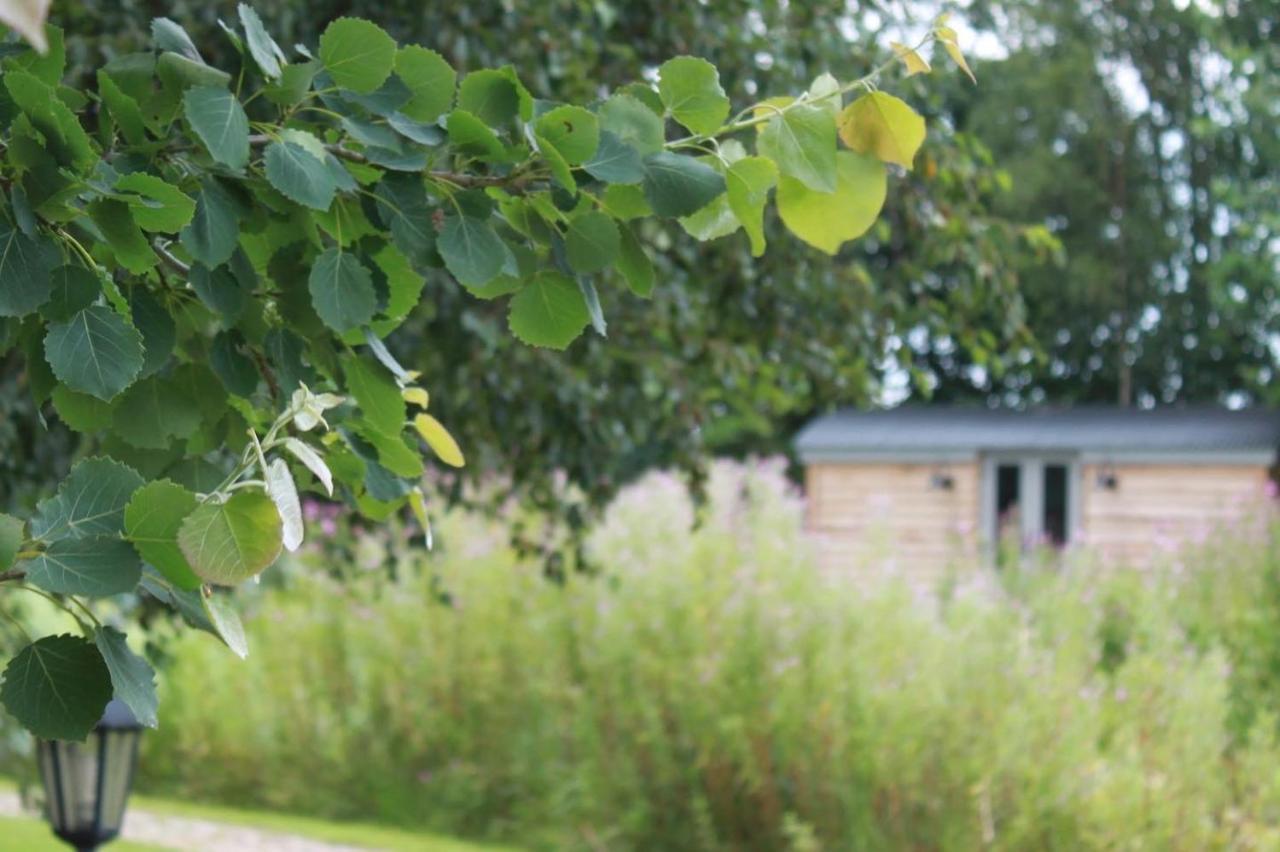יורק Luxury Shepherds Hut - The Sweet Pea By The Lake מראה חיצוני תמונה